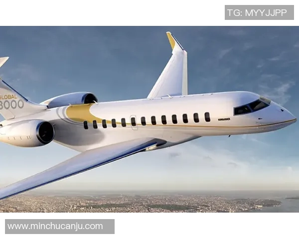 哪些足球球星拥有私人飞机揭秘豪华出行方式与背后财富故事