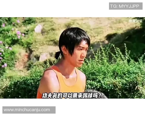 少林足球星爷是否真的住在天台？揭秘背后的真实故事与传闻